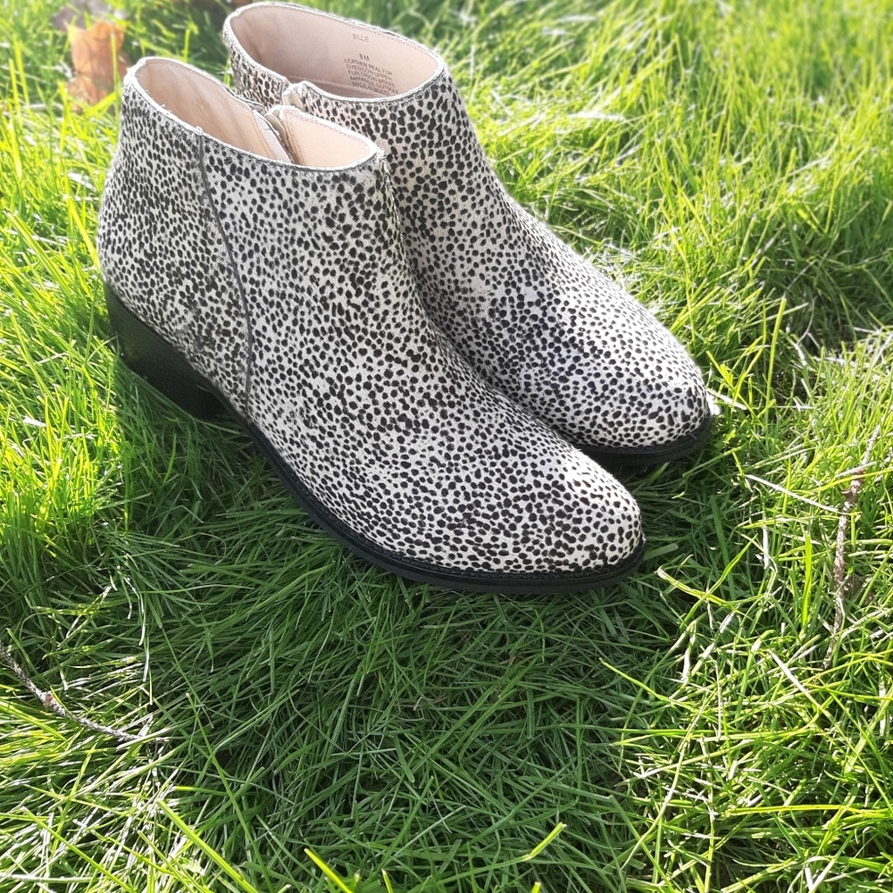 NEW NEVER WORN! Matisse Booties